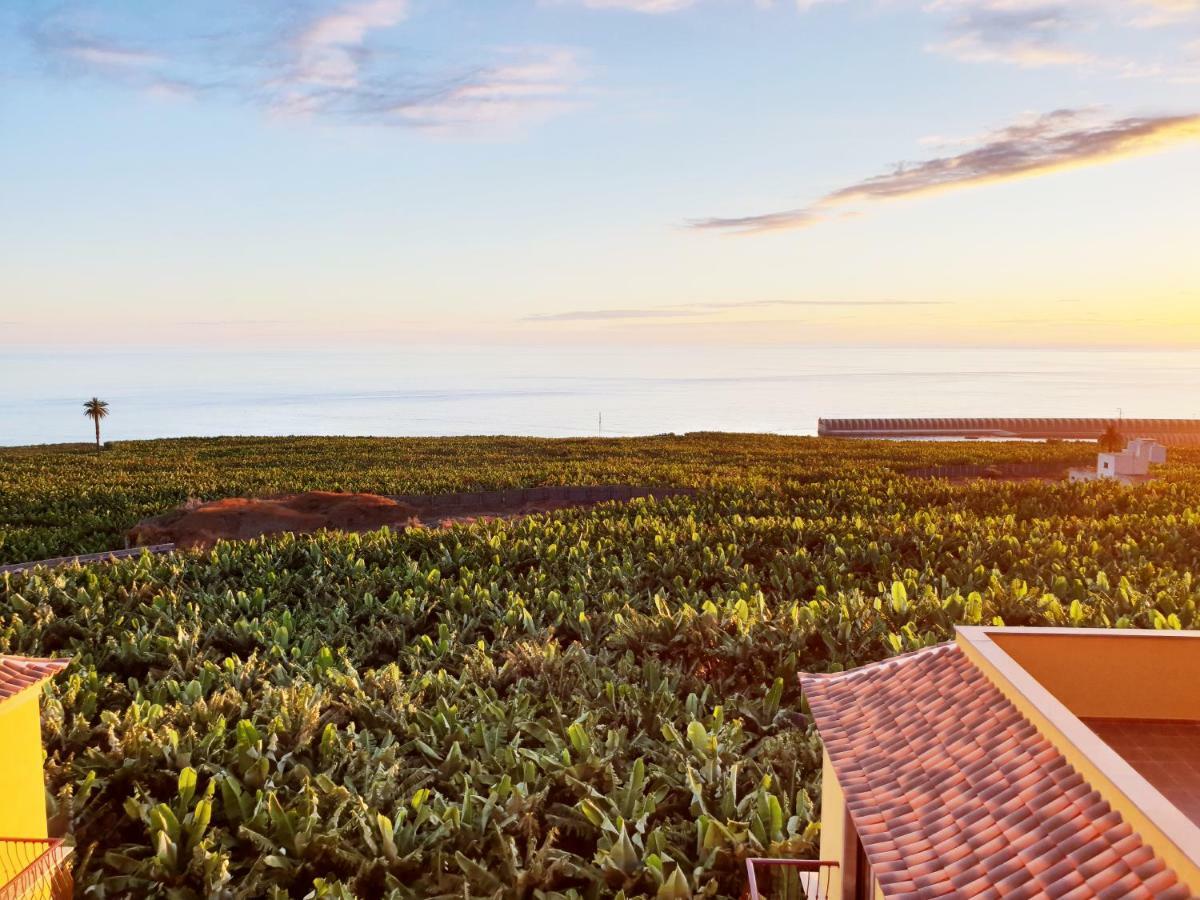 La Palmita Sunset Apartment Тазакорте Екстериор снимка